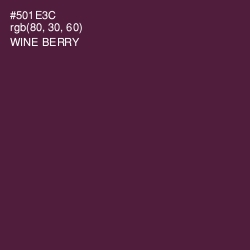 #501E3C - Wine Berry Color Image